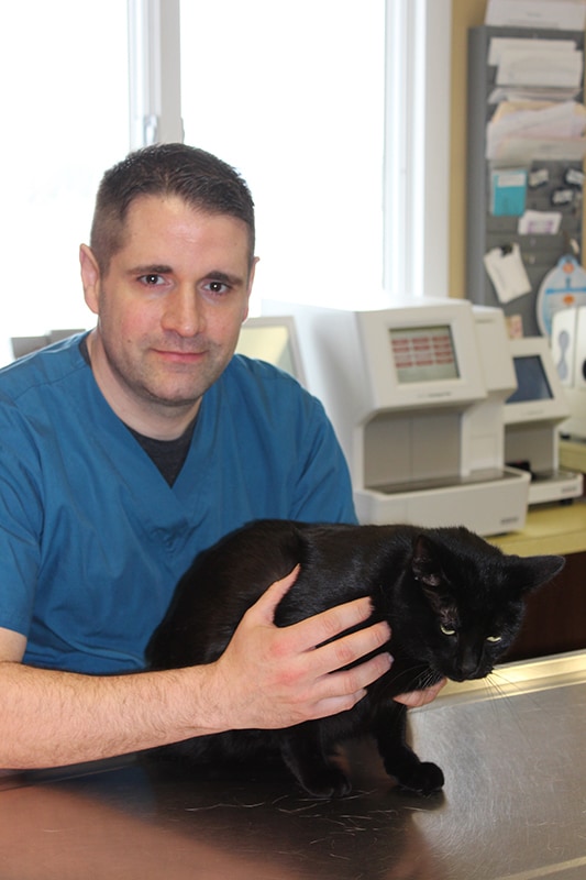 Our Careteam Barre Animal Hospital